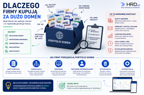 Dlaczego firmy kupują za dużo domen – koszty i chaos portfolio domen