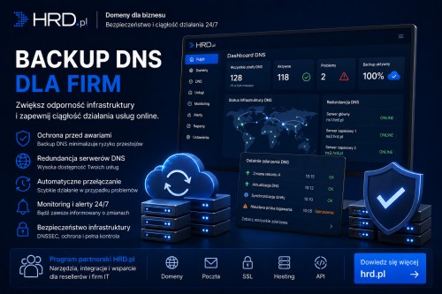 Backup DNS dla firm i bezpieczeństwo usług online