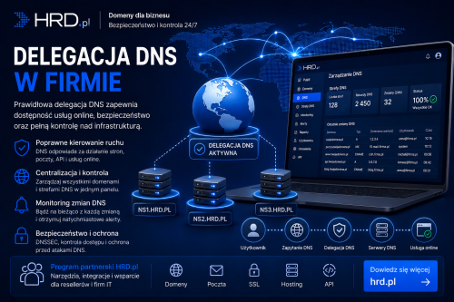 Delegacja DNS w firmie i bezpieczeństwo usług online